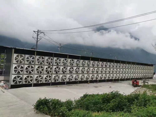 幣圈地震卻 無人傷亡 炒幣者虧100萬也要繼續買,礦廠借私人電站挖礦