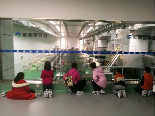 活動丨歷時五個月,成都食安小記者探秘食品安全,全城點贊