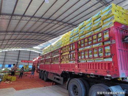 愛(ài)心助農(nóng),勐臘電商在行動(dòng)