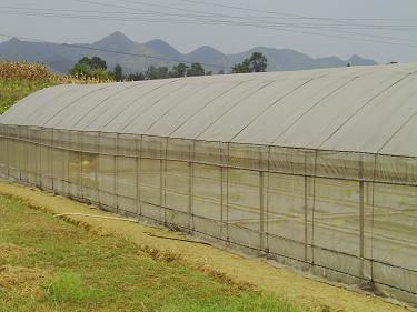 貴陽(yáng)驚濤鋼結(jié)構(gòu)|貴陽(yáng)卷閘門安裝|貴陽(yáng)平式活動(dòng)板房|貴陽(yáng)輕鋼廠房|貴州活動(dòng)板房安裝|貴州網(wǎng)架結(jié)構(gòu)|貴陽(yáng)幕墻玻璃制作 活動(dòng)板房?jī)r(jià)格 - 貴州驚濤鋼結(jié)構(gòu)工程